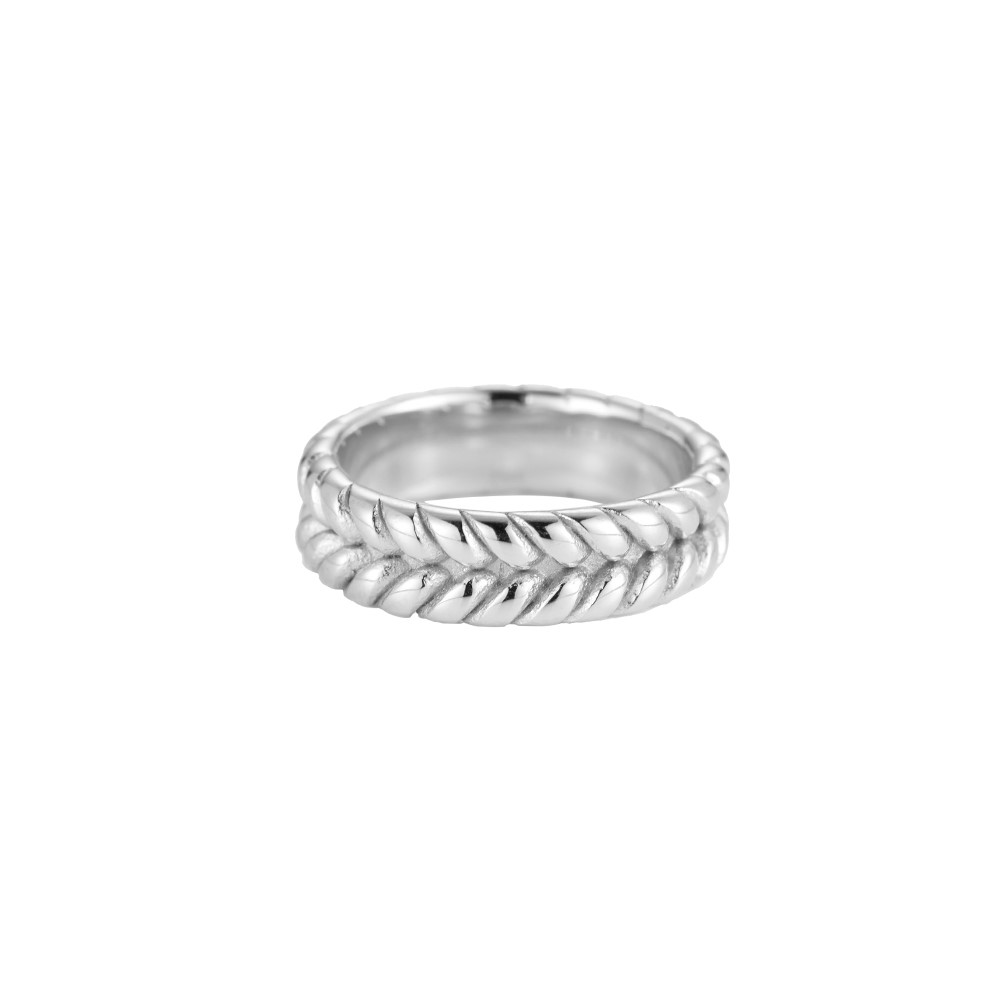 2 Parallel Twist Stainless Steel Ring