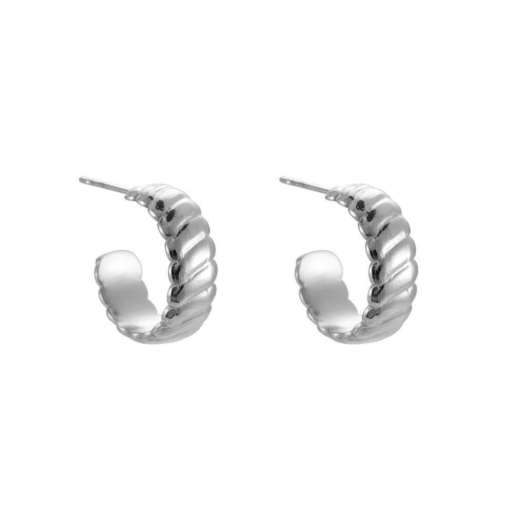 Inka Stainless Steel Earrings