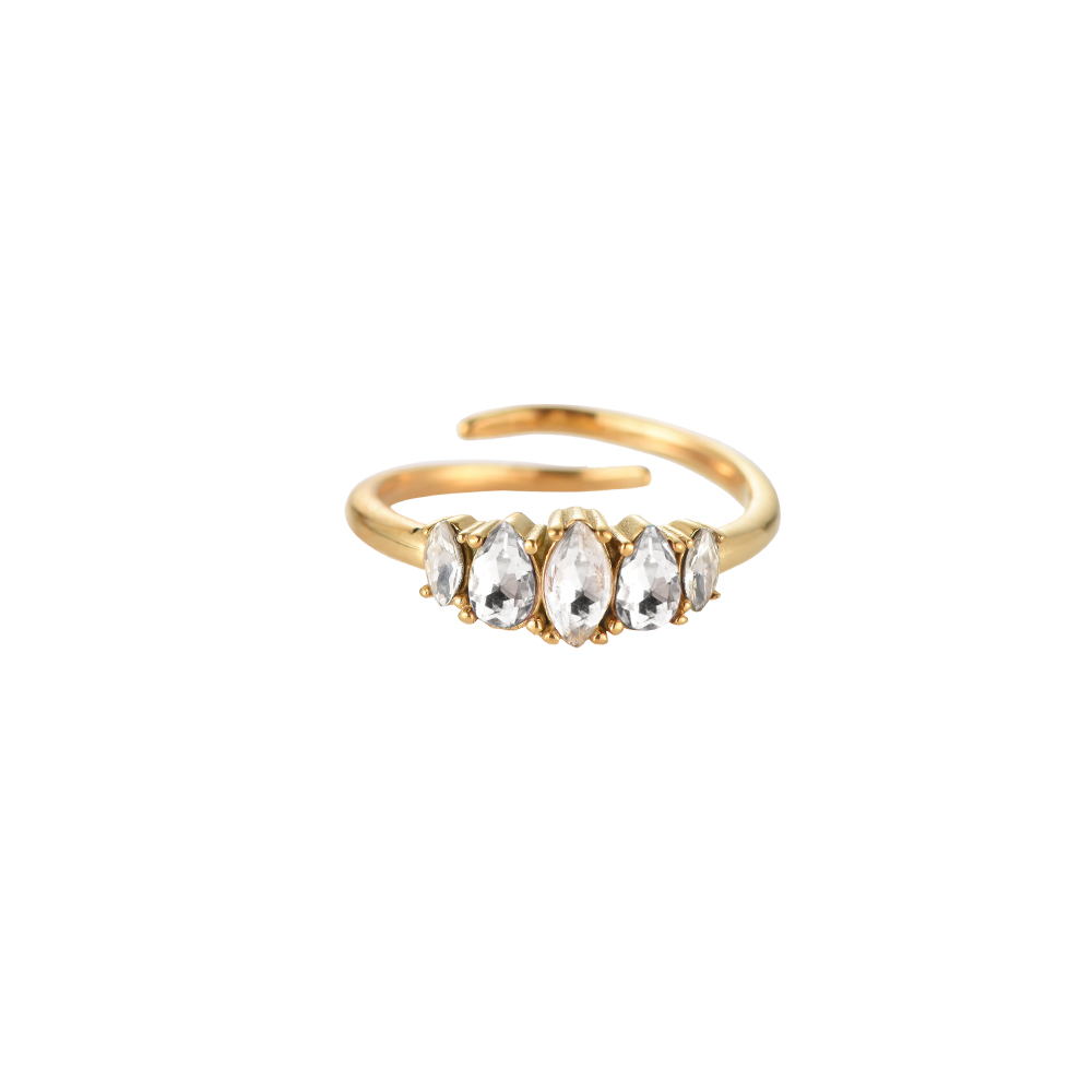 5 Oval Diamonds Edelstahl Ring