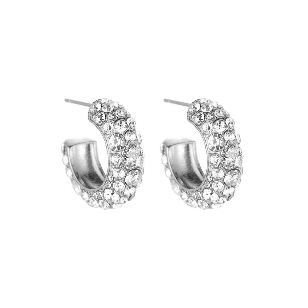 Halfmoon Diamond Love Stainless Steel Earrings
