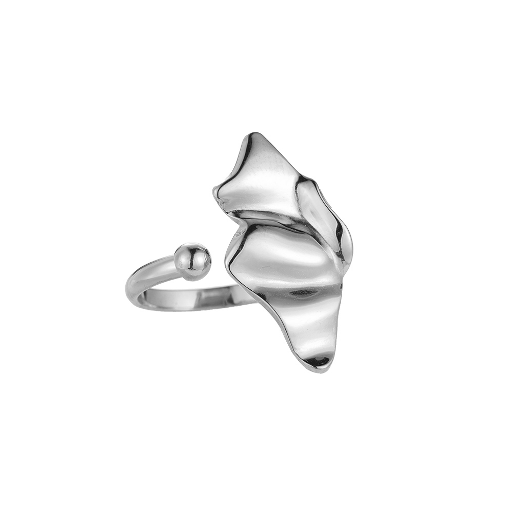 Hollow Conch Edelstahl Ring