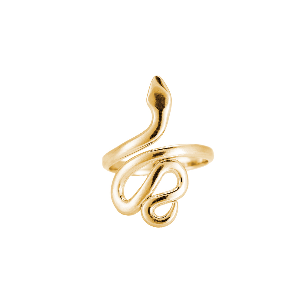 Pointed Head Snake Stainless Steel Ring