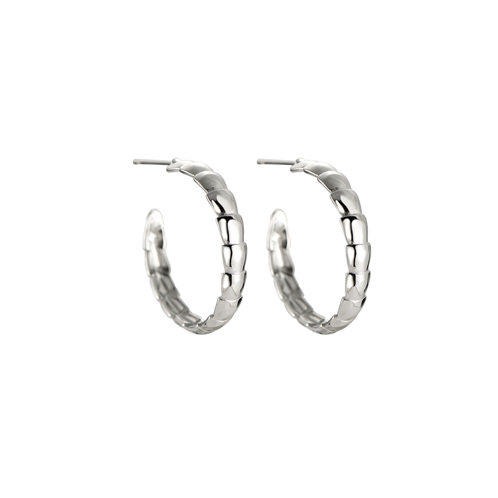 Curving Viper Stainless Steel Earrings