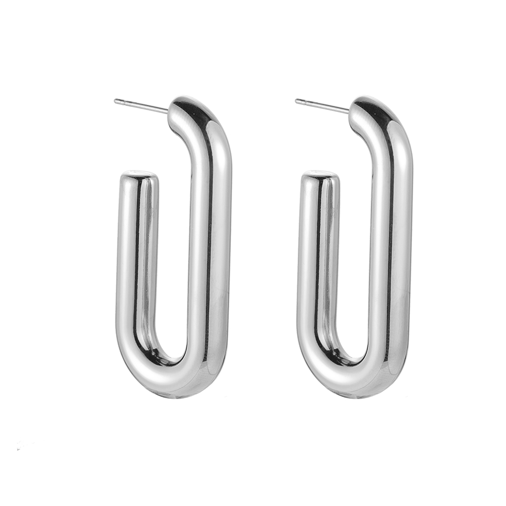 Round Hook Stainless Steel Earrings