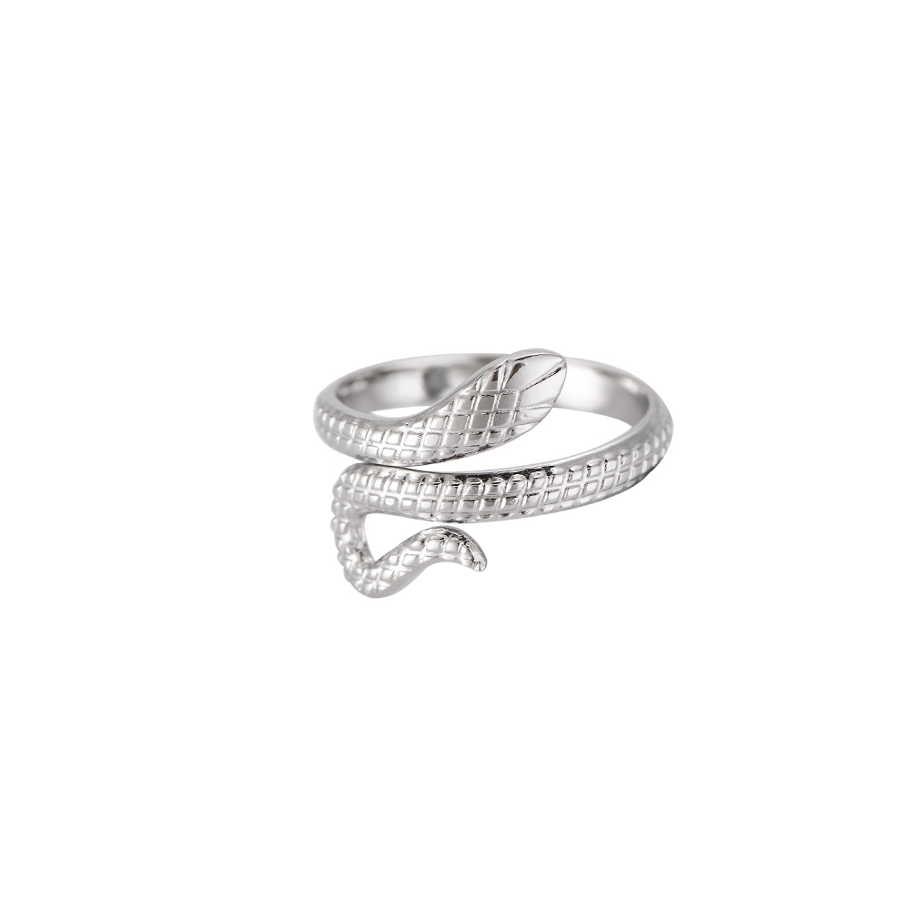 Whirling Snake Stainless Steel Ring
