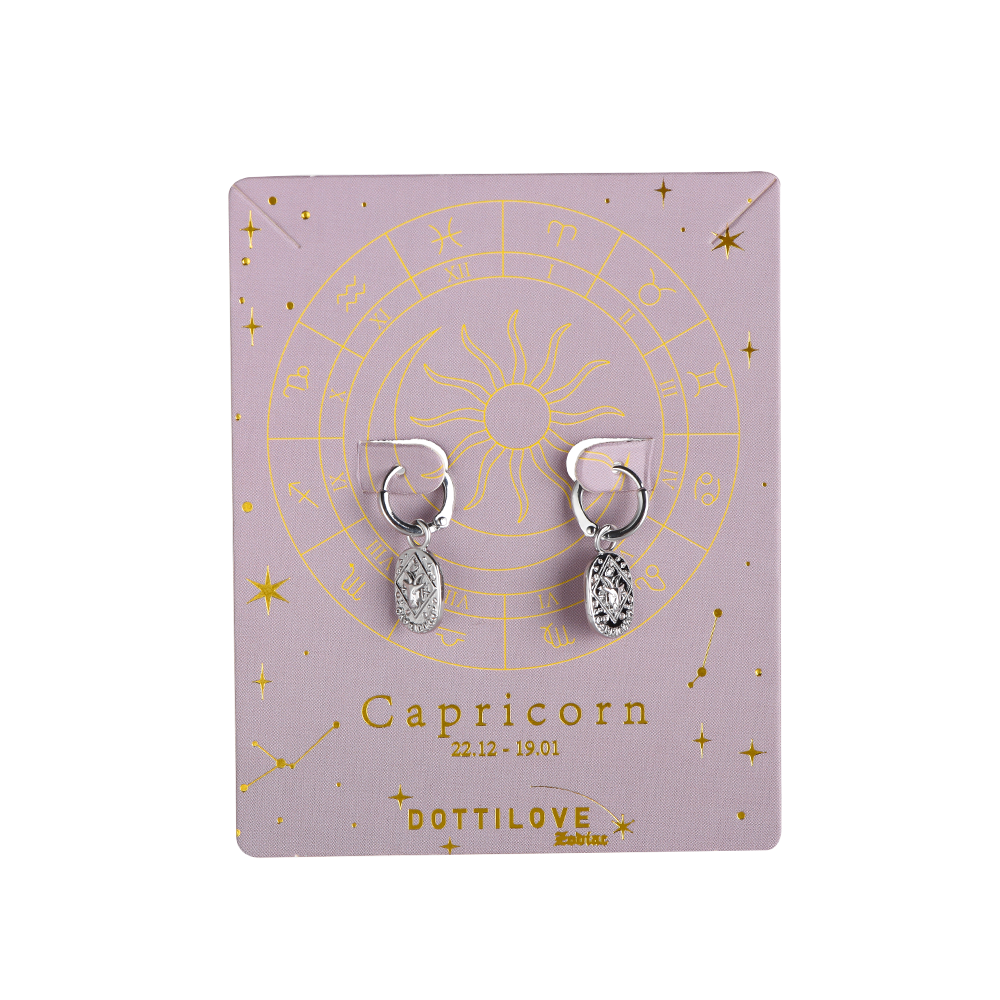 Zodiac Plated Earring Set