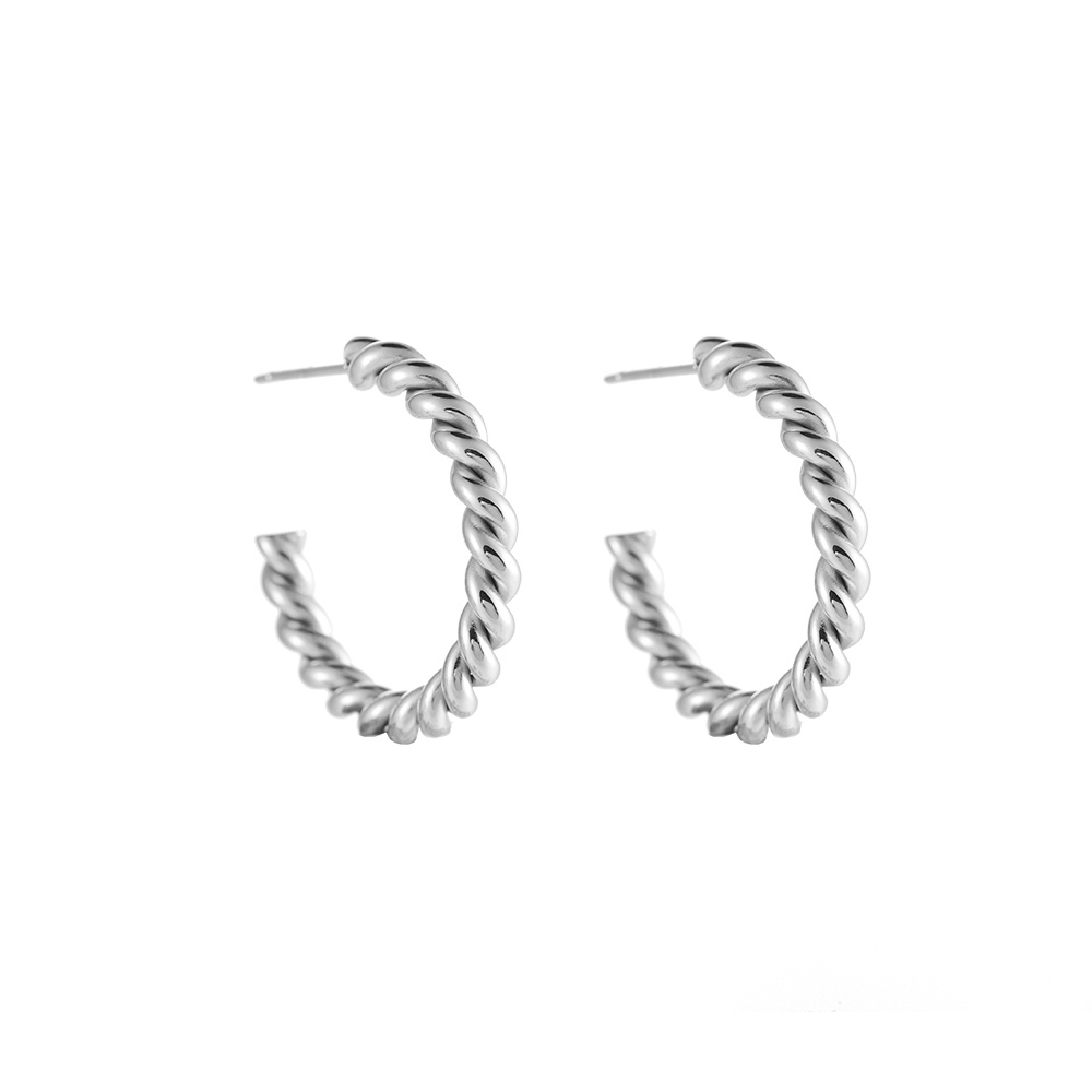 Cable Twist Stainless Steel Earrings