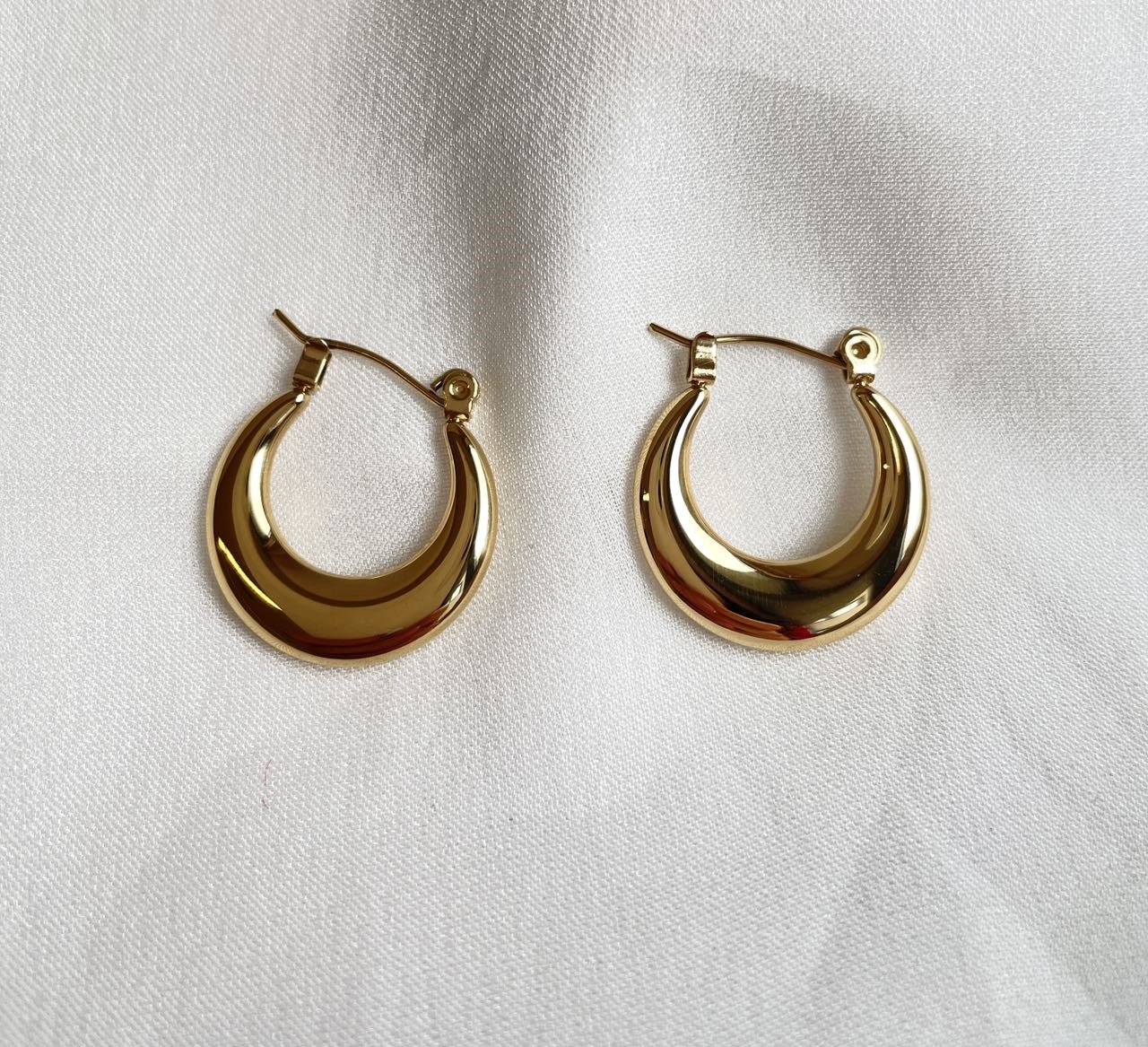Gold Tasche Stainless Steel Earrings