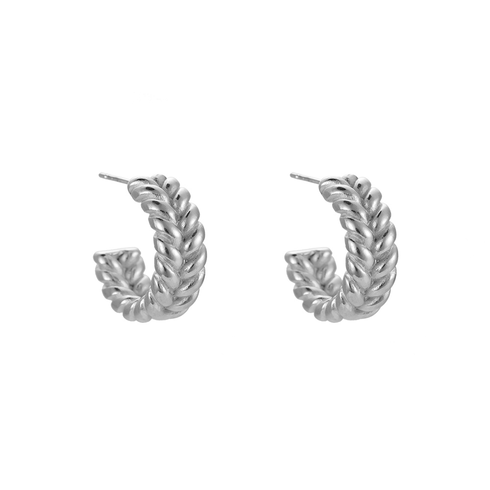 2 Parallel Twist Stainless Steel Earring