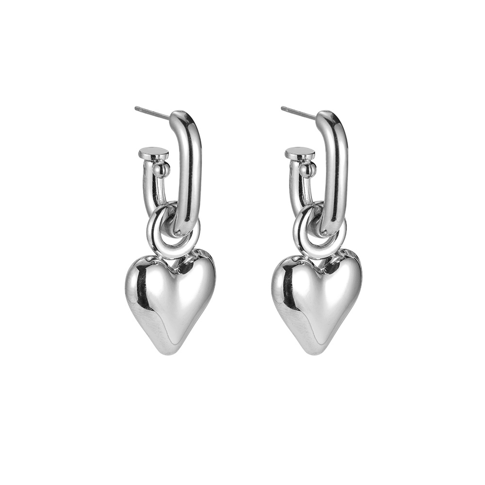 Big Heart Stainless Steel Earrings