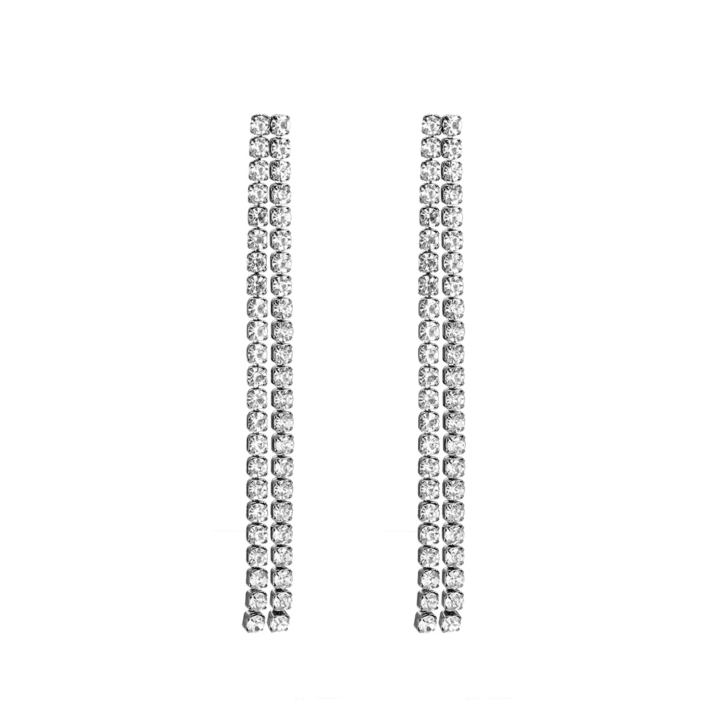 Gorgeous Party Stainless Steel Earrings Style 12