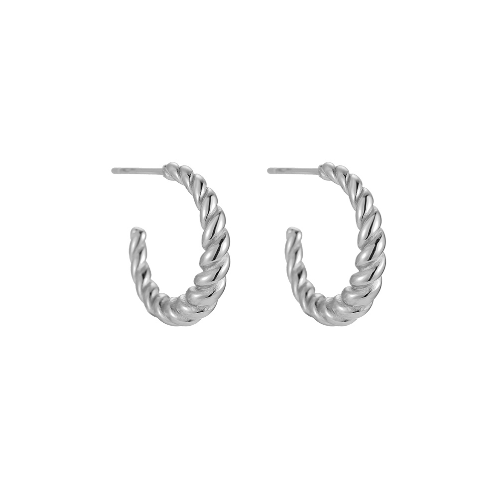 Spiral Stretch Pastry Stainless Steel Earrings