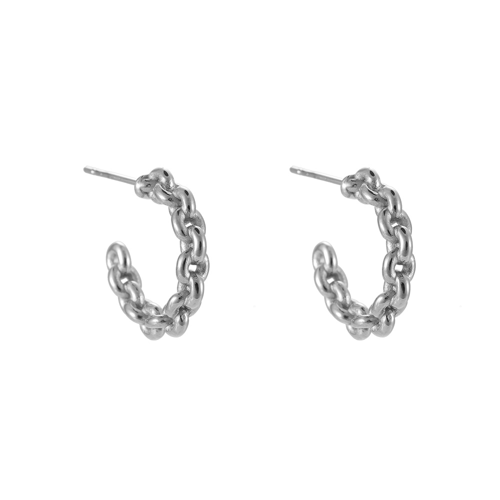 Danica Chain Stainless Steel Earring