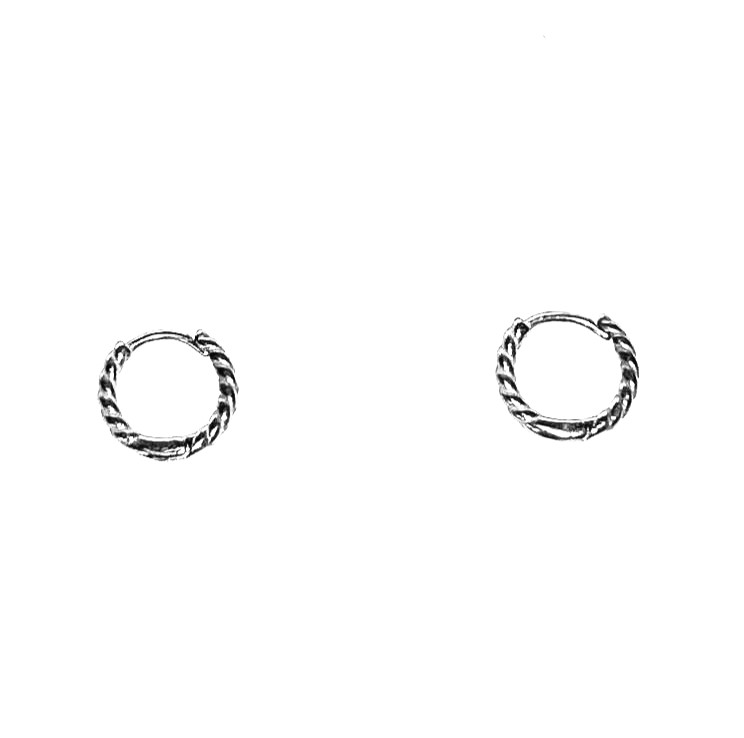 Half Twist Stainless Steel Earrings