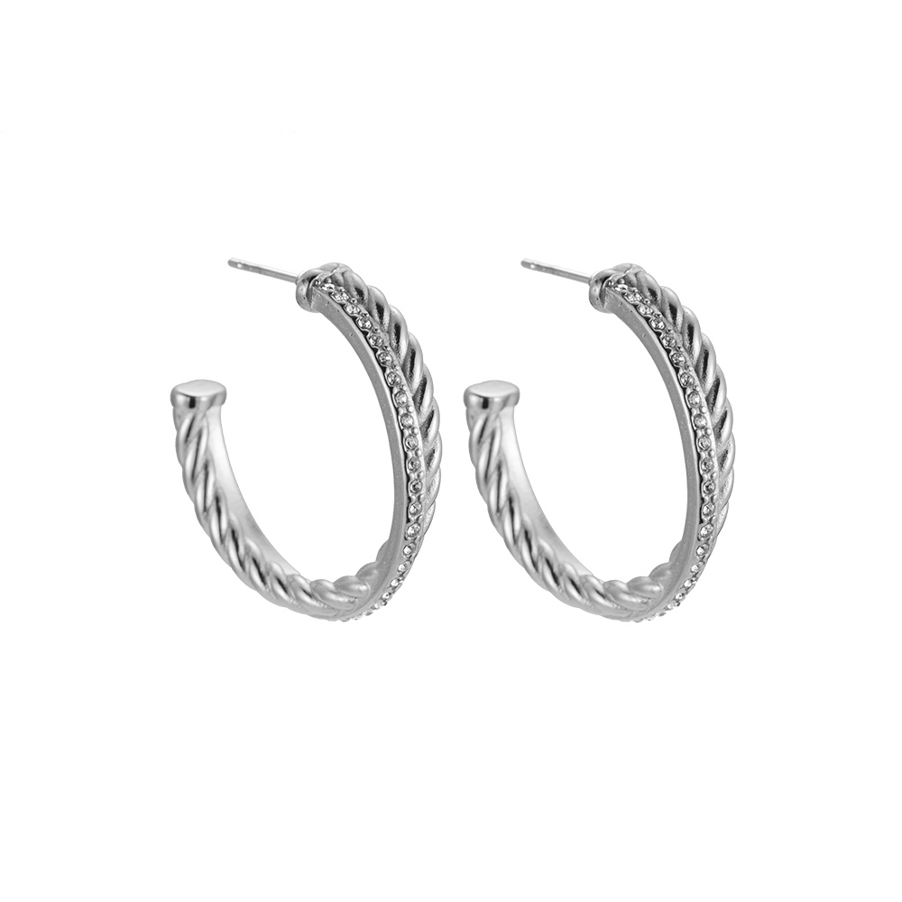 Diamonds & Twist Stainless Steel Earrings