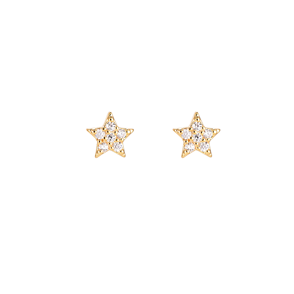 Tiny Star Plated Earring
