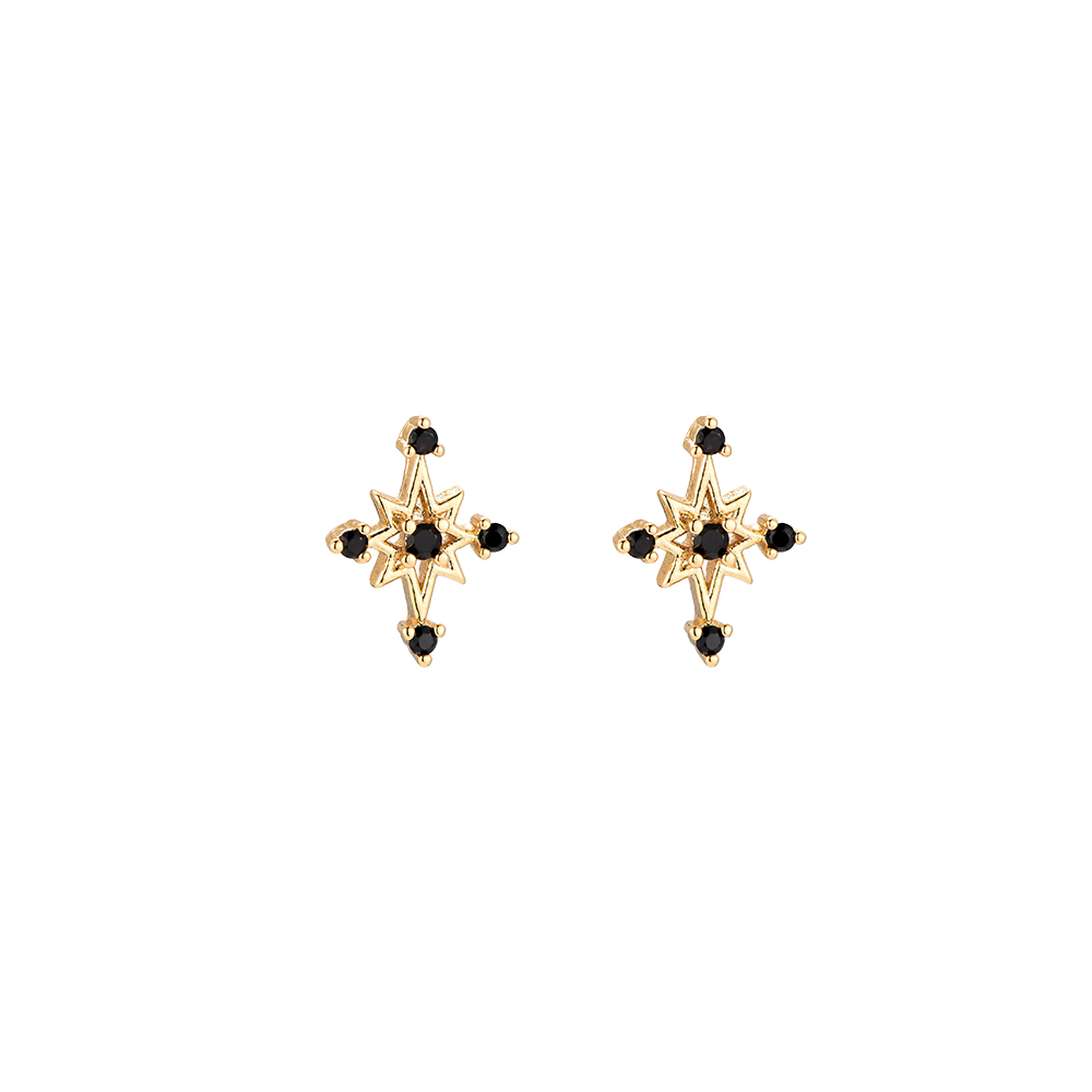 Compass Star Gold Plated Earrings