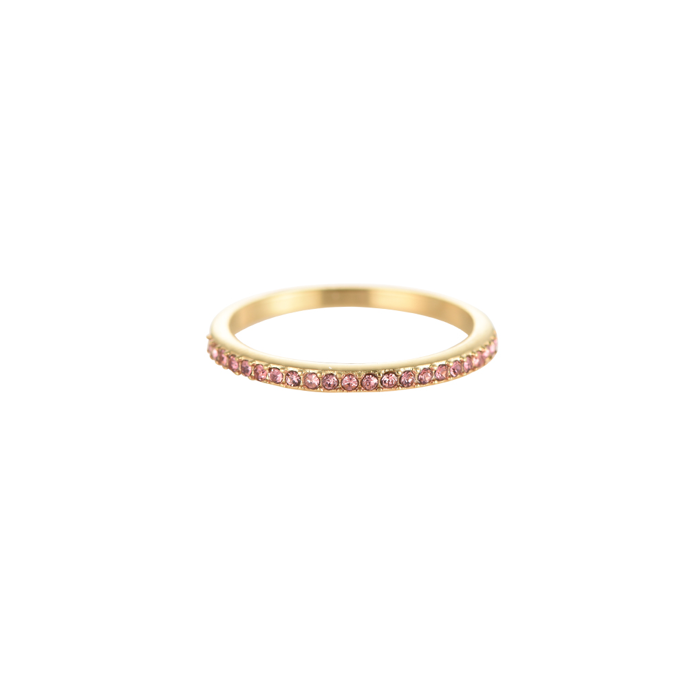 Fine Shining Edelstahl Ring