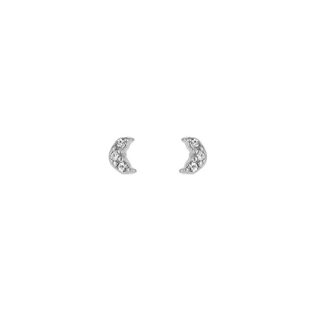 Mini Moon Stainless Steel Earrings