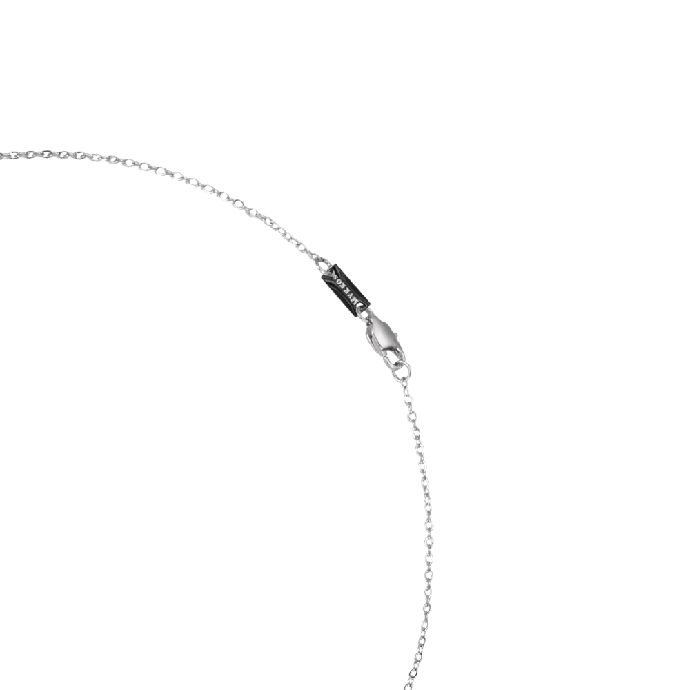 Cool Plate 55cm Stainless Steel Necklace