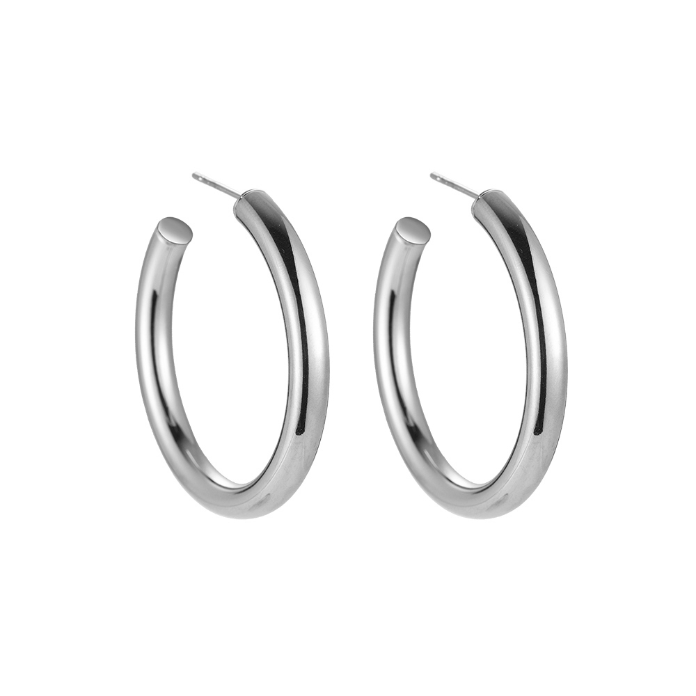Fanta Stainless Steel Earrings
