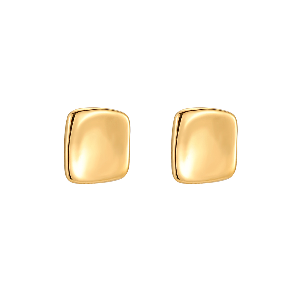 Quadrat Stainless Steel Earrings
