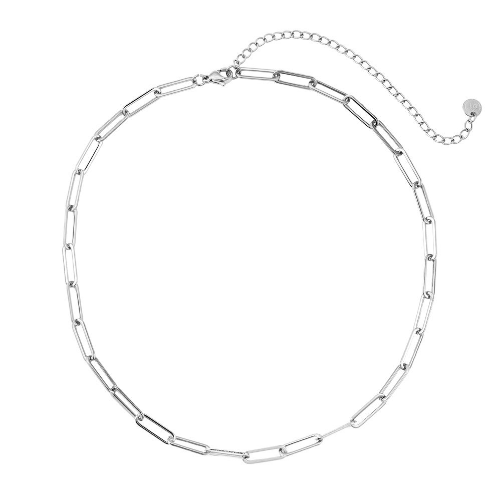 Teresa Stainless Steel Necklace 