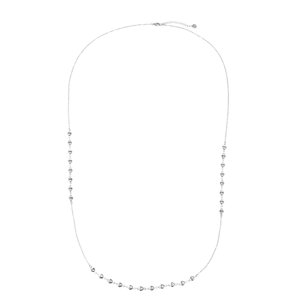 Lange Mini Heart S.Steel Necklace