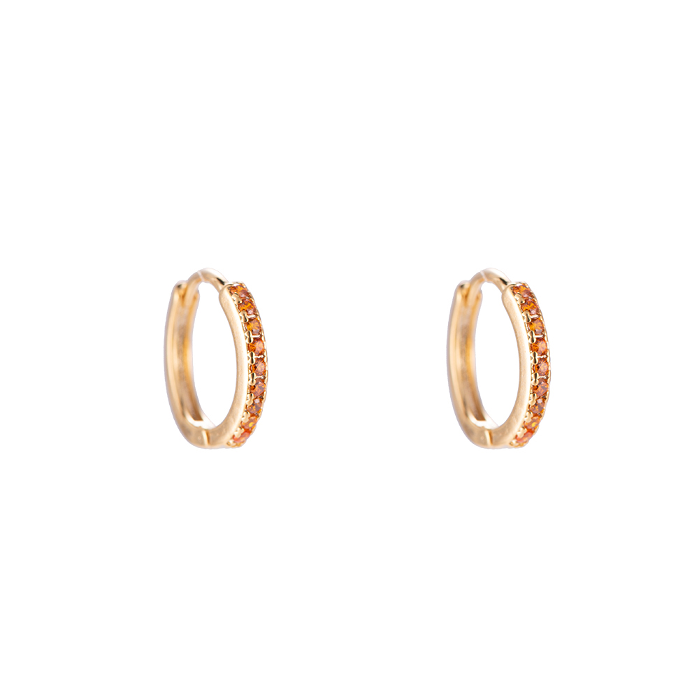 Shining Hoop Plated Earring Color Edition