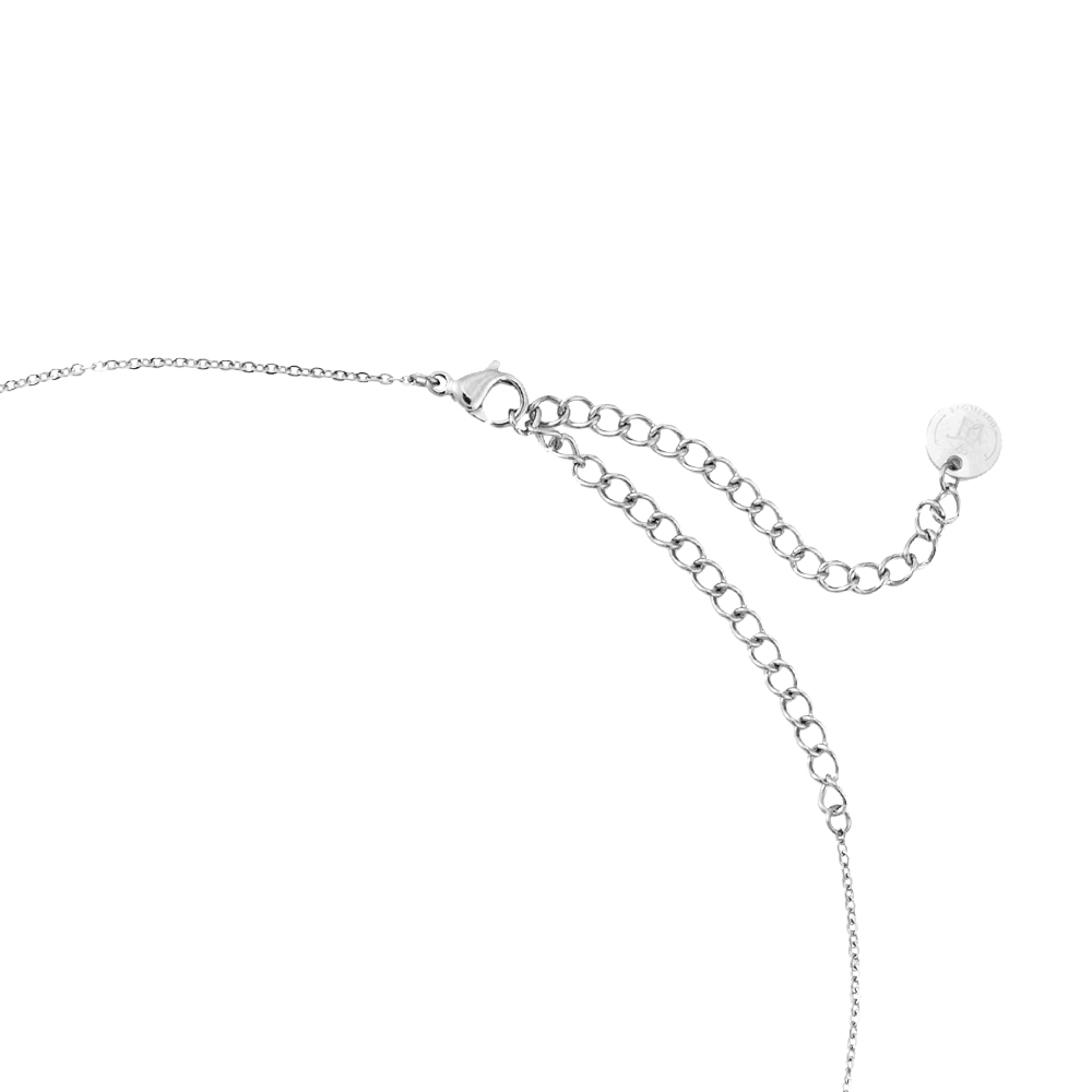 Daniella Stainless Steel Necklace