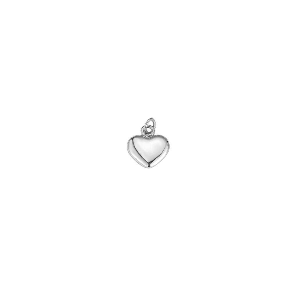 The True Heart Stainless Steel Charm
