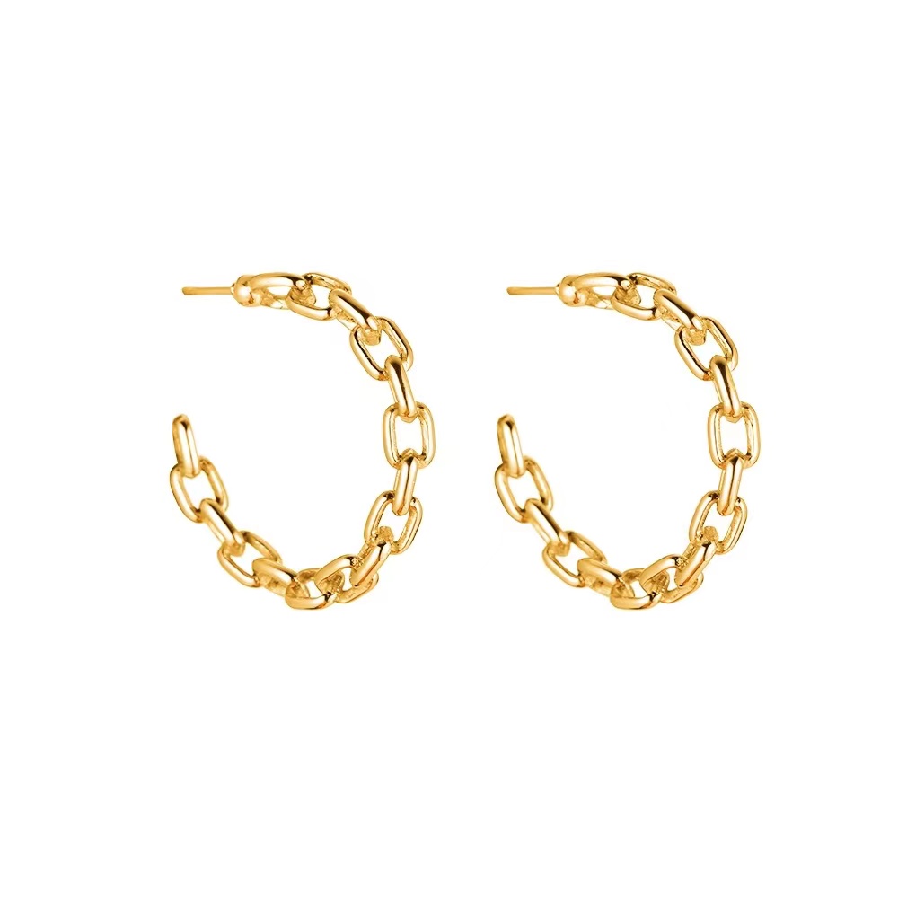 Big Locky Chain Stainless Steel Earring