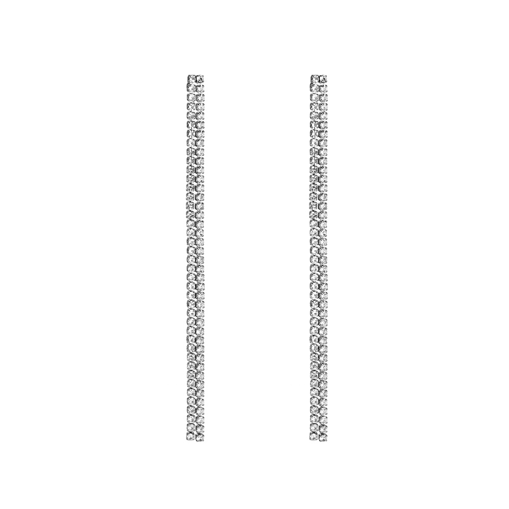 Gorgeous Party Stainless Steel Earrings Style 16