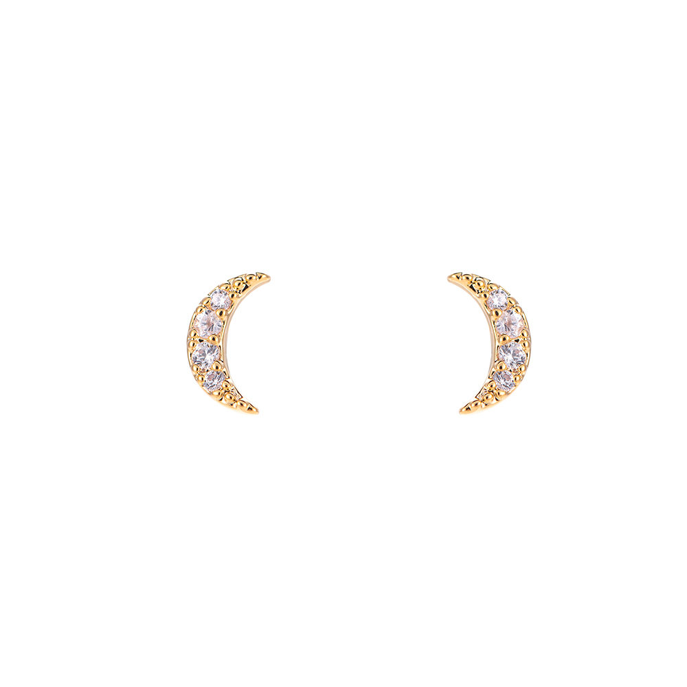 Shining Moon Plated Earring