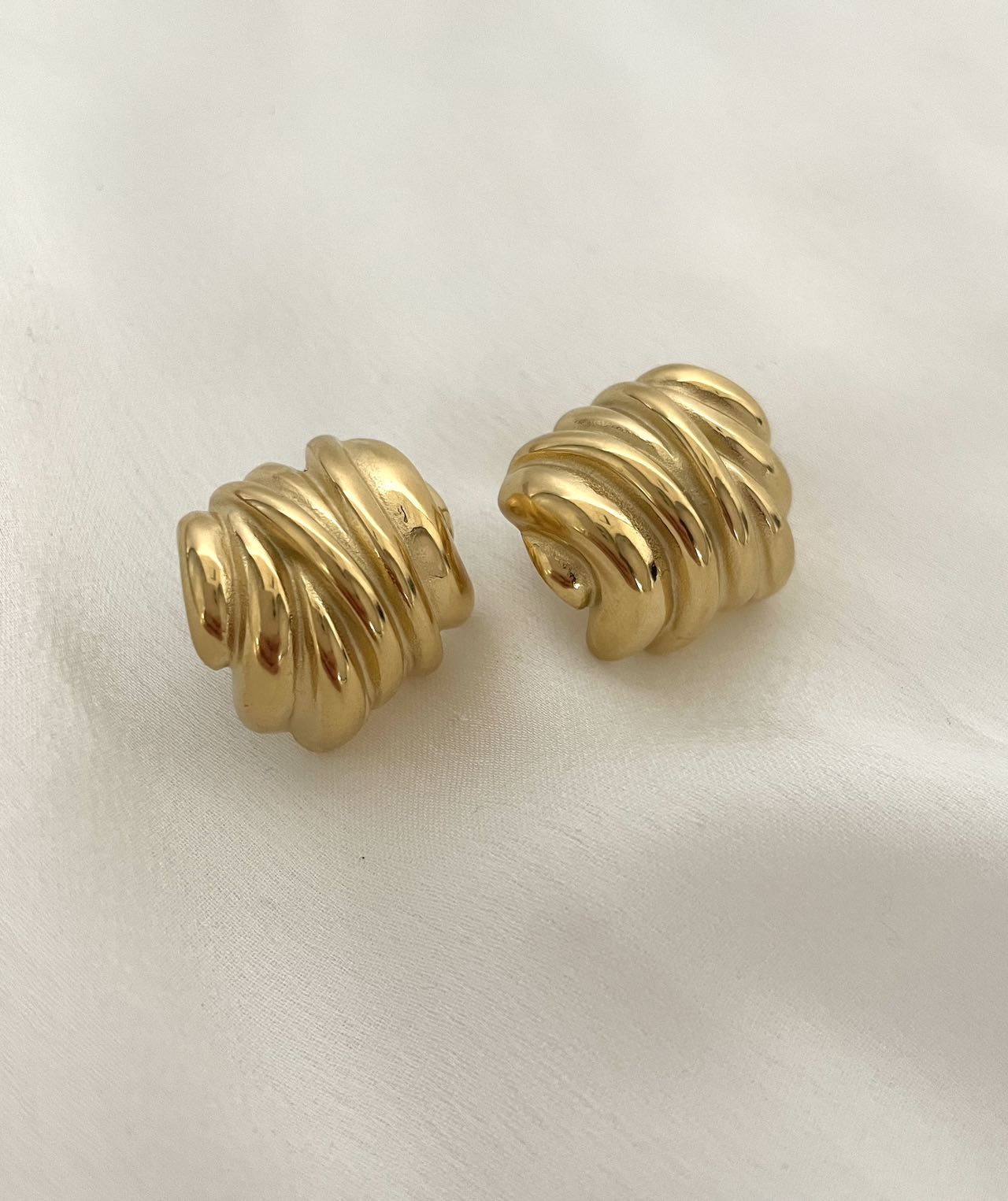 Wild Gold Stainless Steel Ear Studs