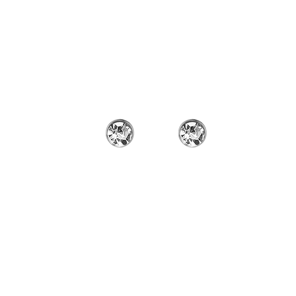 Pinpoint Diamond Stainless Steel Ear Studs