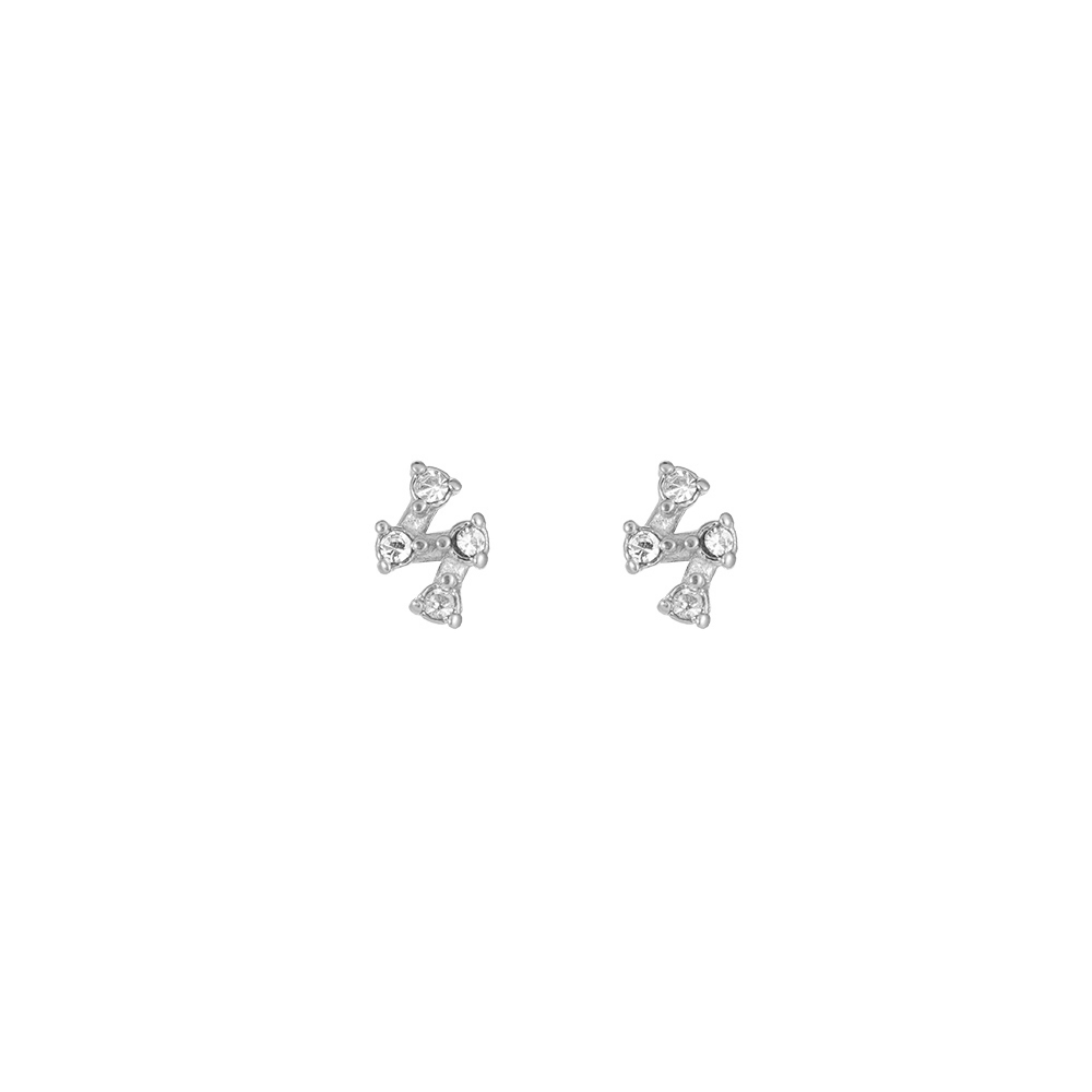 Sescie Stainless Steel Earrings