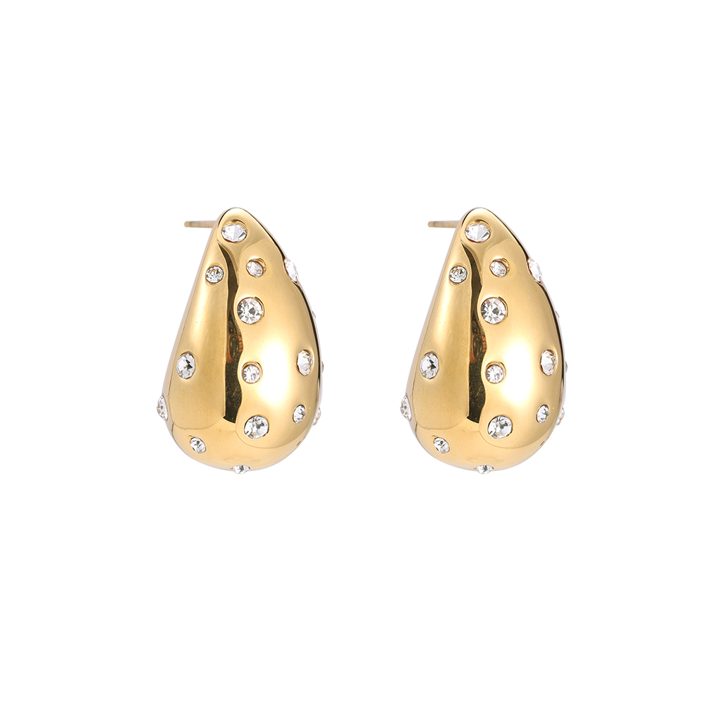 Rupert Diamond Stainless Steel Earrings