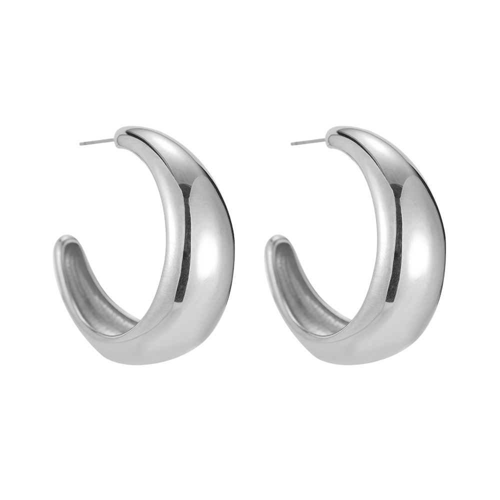 Kurve Mond Stainless Steel Earrings