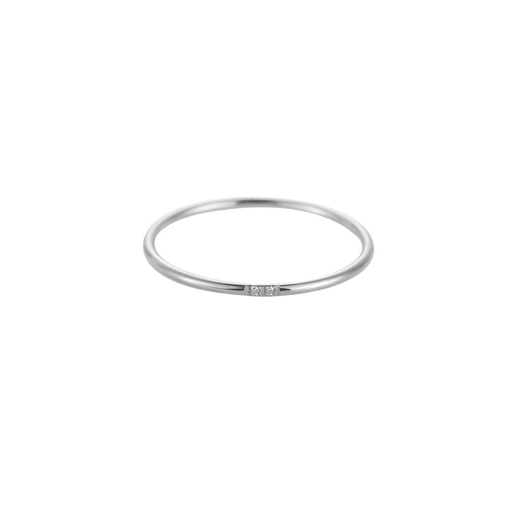 2 Tiny Diamonds Thin Stainless Steel Ring