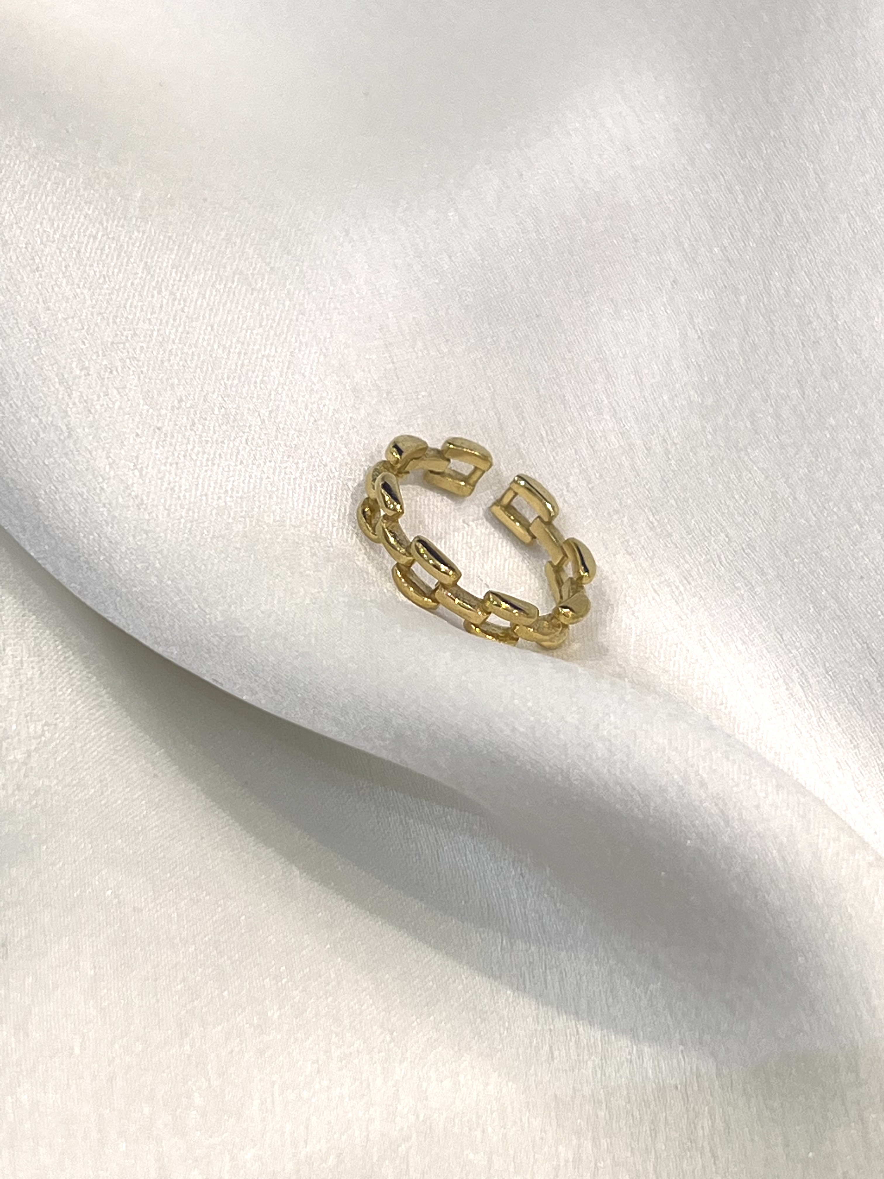 Linked Ring Edelstahl Ring 